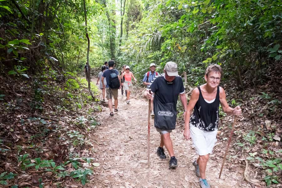 Khao Lak: Khao Sok Elephant Sanctuary and Night Jungle Walk - Two very different sides of Khao Lak in one day