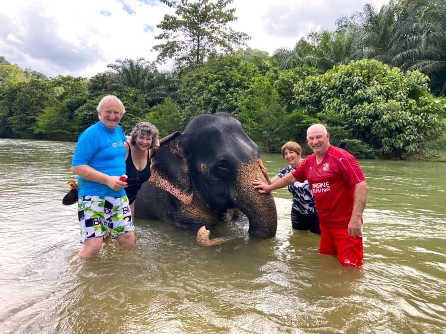 Khao Lak: Khao Sok Elephant Sanctuary and Night Jungle Walk - The Khao Sok hike: real walking, not a stroll