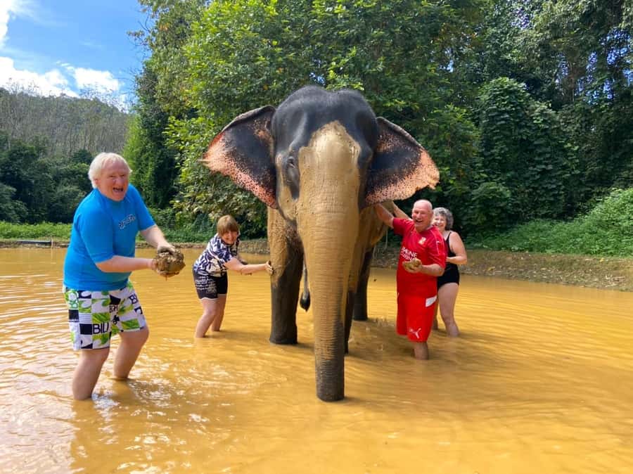 Khao Lak: Khao Sok Elephant Sanctuary and Night Jungle Walk - Sunset wildlife with a flashlight