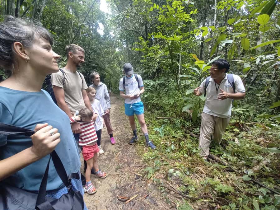 Khao Lak: Khao Sok Elephant Sanctuary and Night Jungle Walk - Feeding elephants at Thongsuk Elephant Park