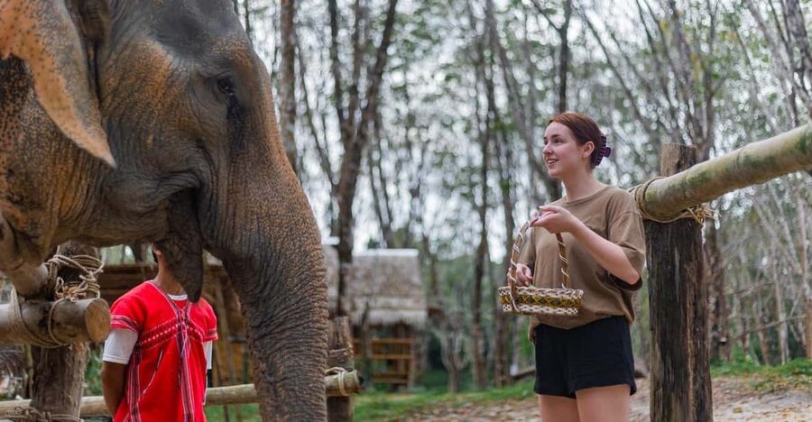 Khao Lak’s Best: Elephant Sanctuary,Rubber Tapping&Waterfall - Why the sanctuary is the heart of the visit