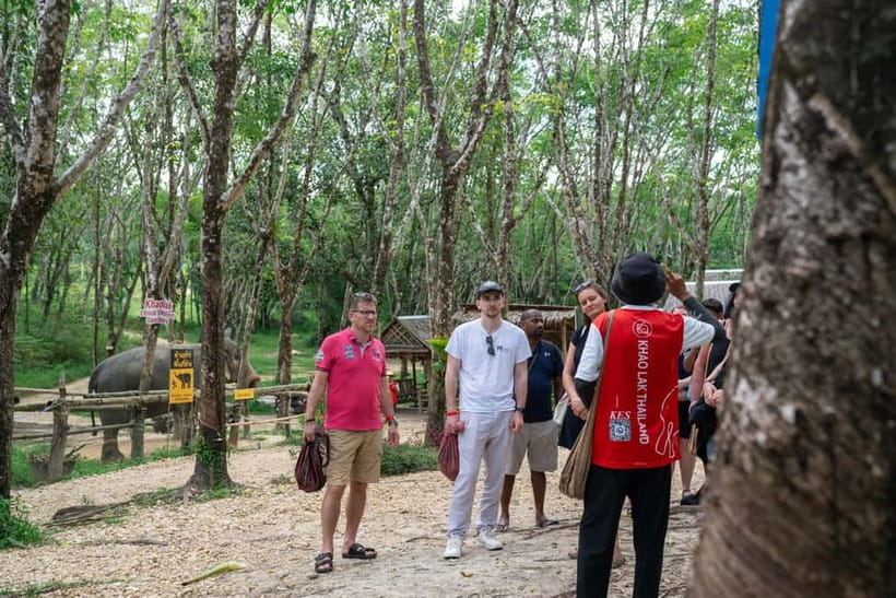 Khao Lak’s Best: Elephant Sanctuary,Rubber Tapping&Waterfall - Who should book this Khao Lak experience