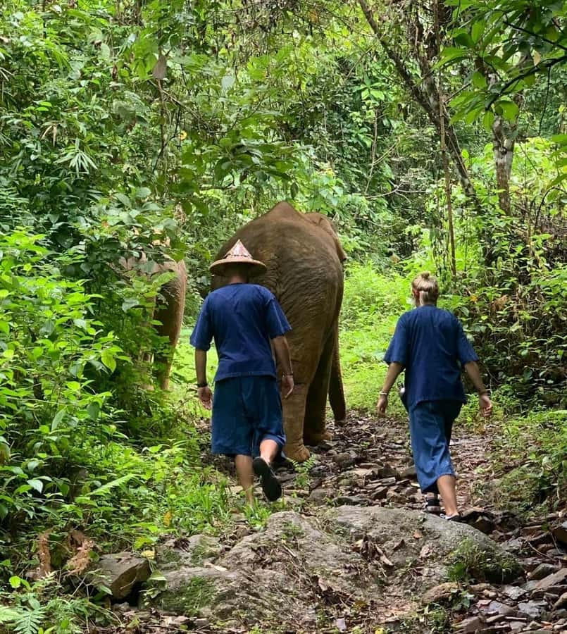 Khao Lak: Unique Dawn Ethical Elephant Sanctuary Experience - Who should book this morning?