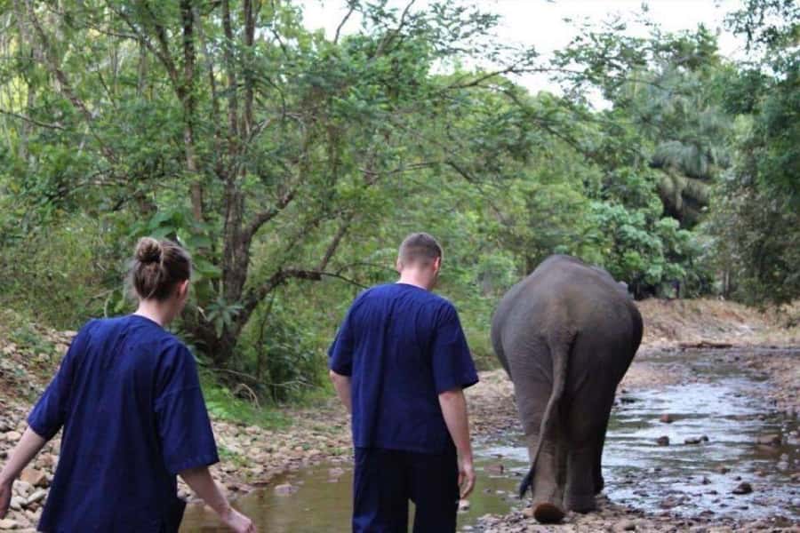 Khao Lak: Unique Dusk Ethical Elephant Sanctuary Experience - Pickup from Khao Lak and the rural setting