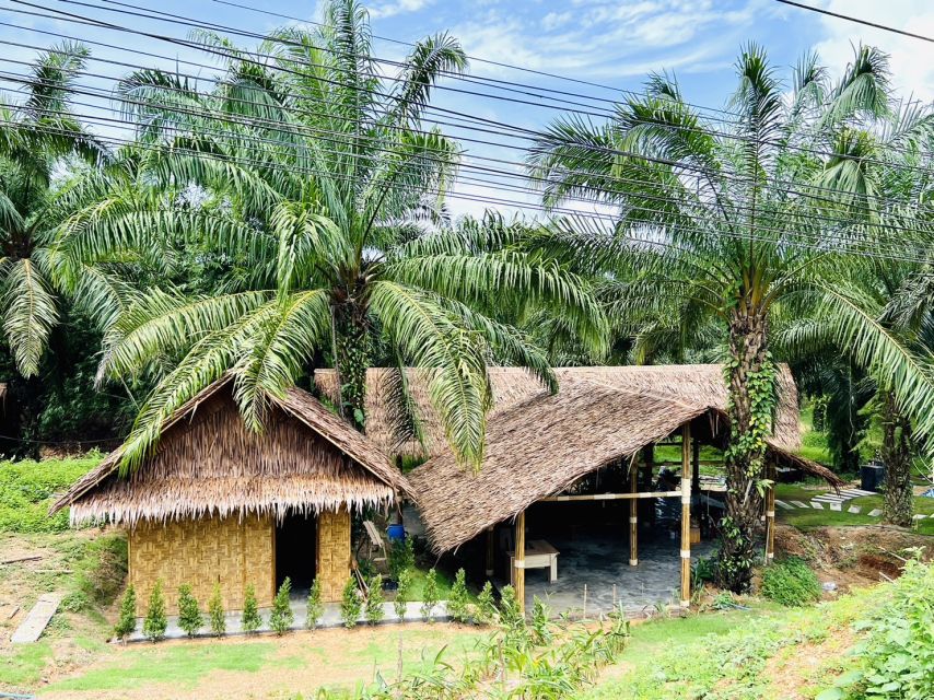 Khao Sok: Ethical Elephant Sanctuary Visit - Transport, timing, and what to bring