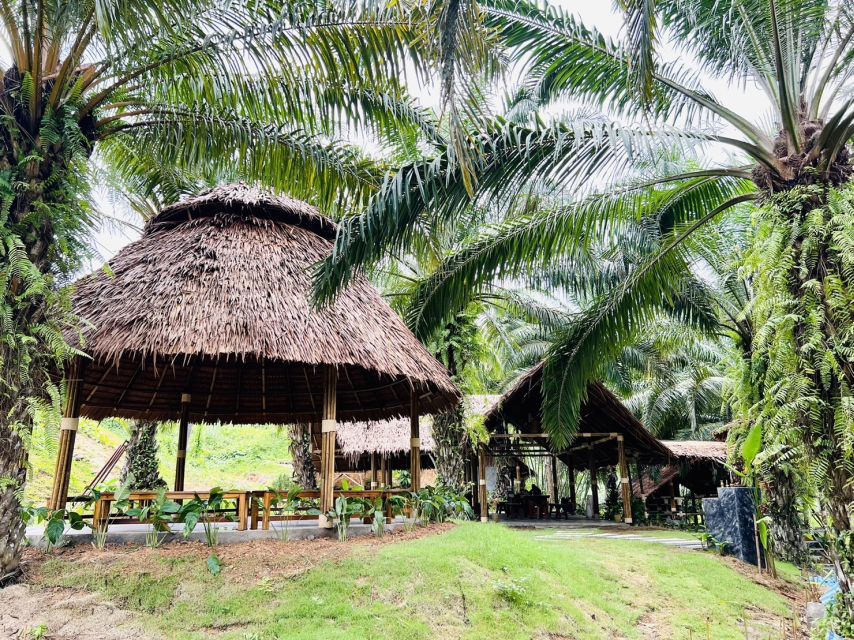 Khao Sok: Ethical Elephant Sanctuary Visit - A two-hour visit built around elephant care