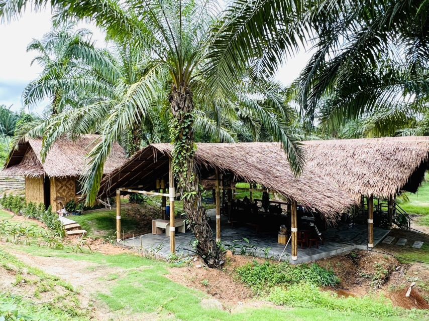 Khao Sok: Ethical Elephant Sanctuary Visit - Watching from the shade
