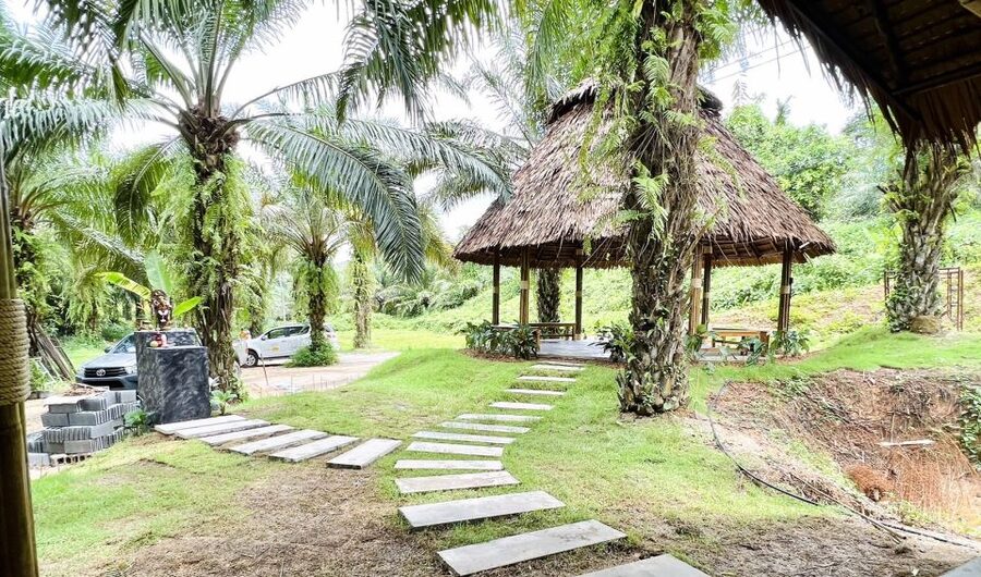Khao Sok: Ethical Elephant Sanctuary Visit - Why the conservation message matters