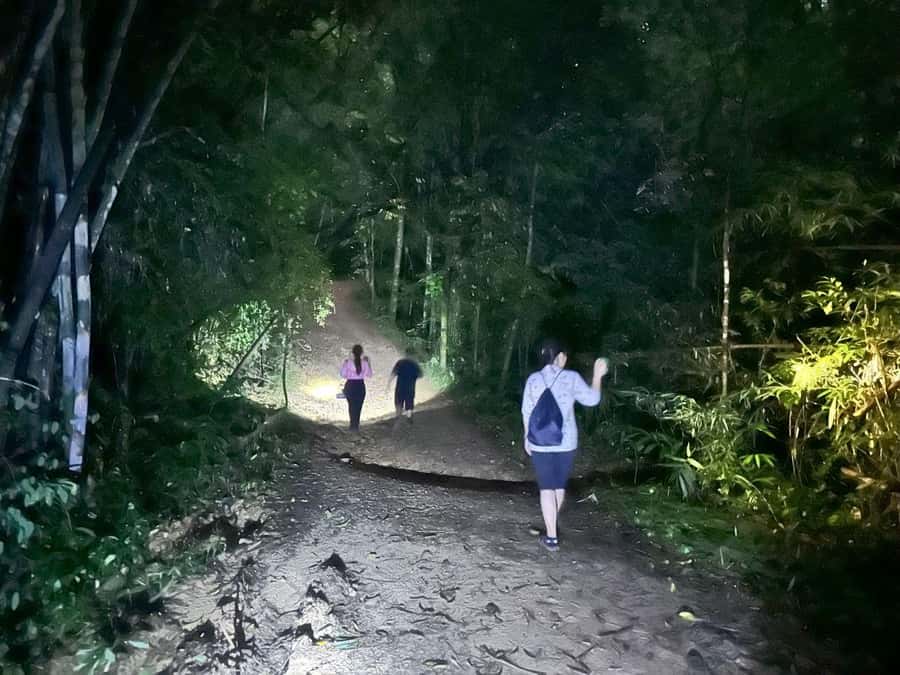 Khao Sok Jungle Sunset Wildlife Encounter & Bamboo Rafting - A quiet 90 minutes on the Sok River