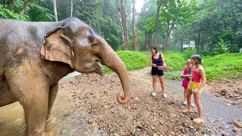 Khao Sok: Private Ethical Elephant Sanctuary Adventure - Mae Waterfall offers a quiet change of pace