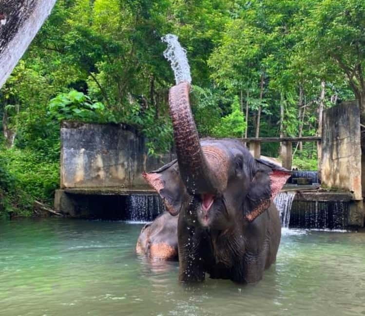 Khao Sok: Private Ethical Elephant Sanctuary Adventure - A private tour, but not a private sanctuary