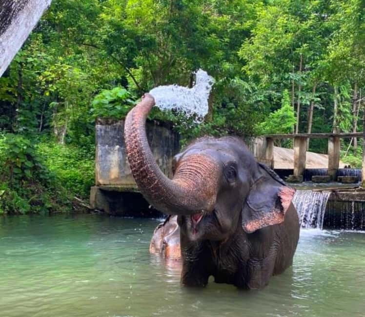 Khao Sok: Private Ethical Elephant Sanctuary Adventure - A short stop at the rainforest viewpoint