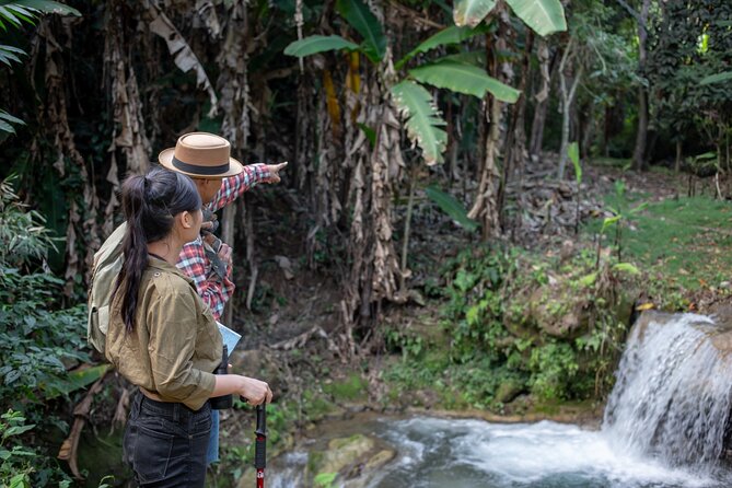 Khaolak Elephant Sanctuary, Cooking Class and Waterfall Tour - 8 am pickup and a small-group start
