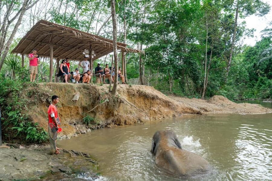 Khaolak: Elephant Sanctuary Guided Tour with Hotel Transfers - The river visit and the question of bathing