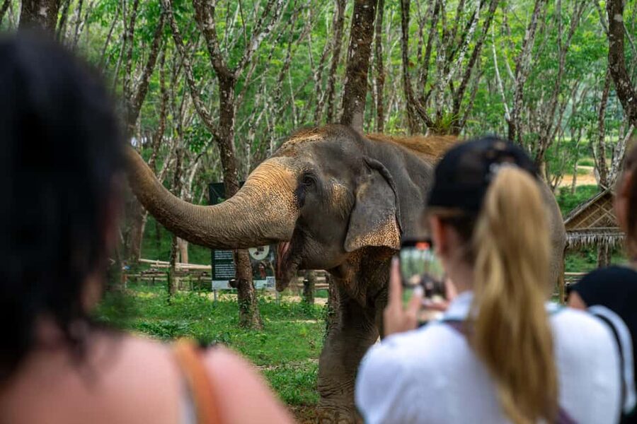 Khaolak: Elephant Sanctuary Guided Tour with Hotel Transfers - Guides who shape the experience