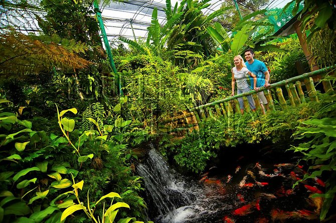 KL Butterfly Park Admission with Kuala Lumpur Famous Landmarks - Is $53.08 a fair price?