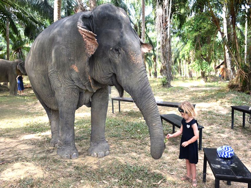 Ko Lanta Yai: Half-Day Ethical Elephant Sanctuary Tour - How to prepare for a comfortable visit