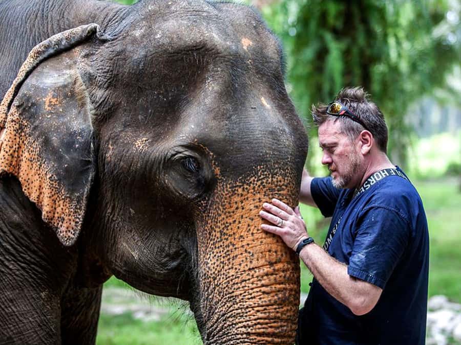 Ko Lanta Yai: Half-Day Ethical Elephant Sanctuary Tour - Meeting Ko Lanta’s rescued elephants
