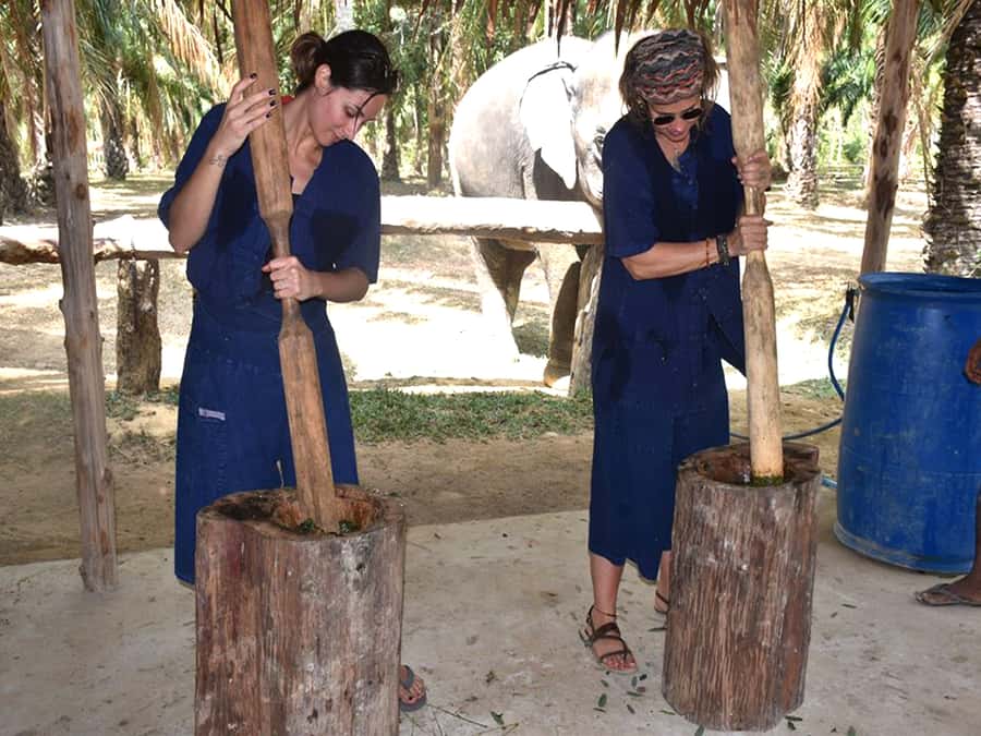 Ko Lanta Yai: Half-Day Ethical Elephant Sanctuary Tour - Making herbal food and elephant supplements