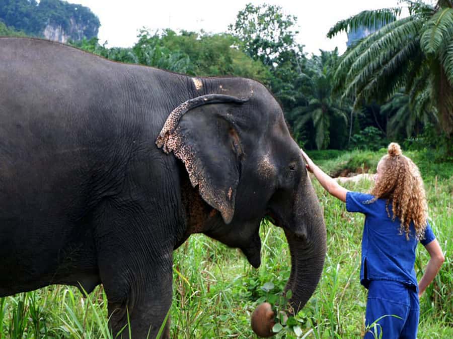 Ko Lanta Yai: Half-Day Ethical Elephant Sanctuary Tour - How much time should you allow?