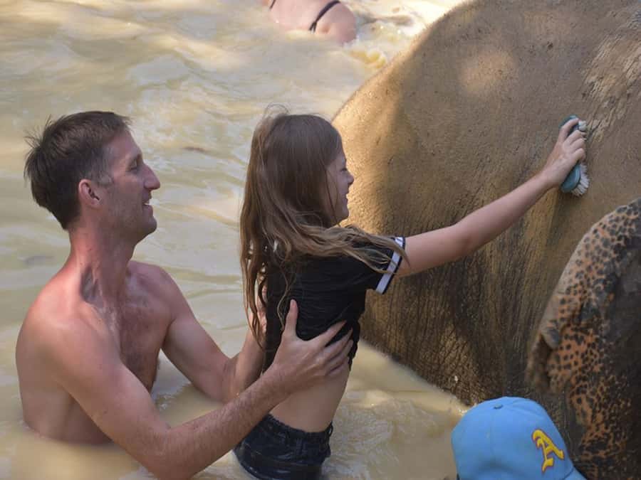Ko Lanta Yai: Half-Day Ethical Elephant Sanctuary Tour - What the $78 price buys you