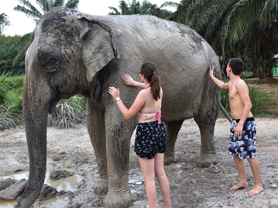 Ko Lanta Yai: Half-Day Ethical Elephant Sanctuary Tour - The mud pool: useful, wet, and not polished