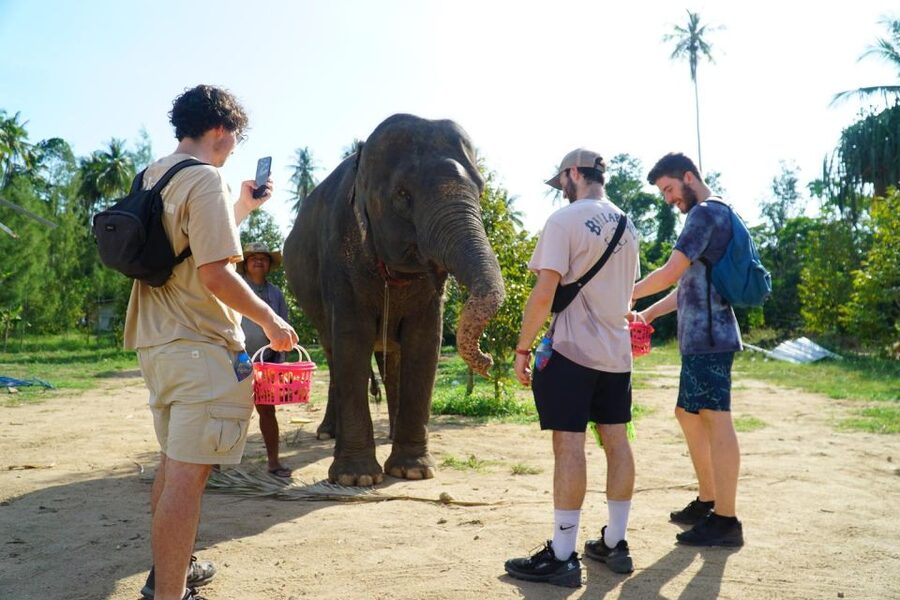 Koh Samui: 4x4 Sightseeing Safari & Elephant Sanctuary Tour - Koh Samui highlights packed into one day