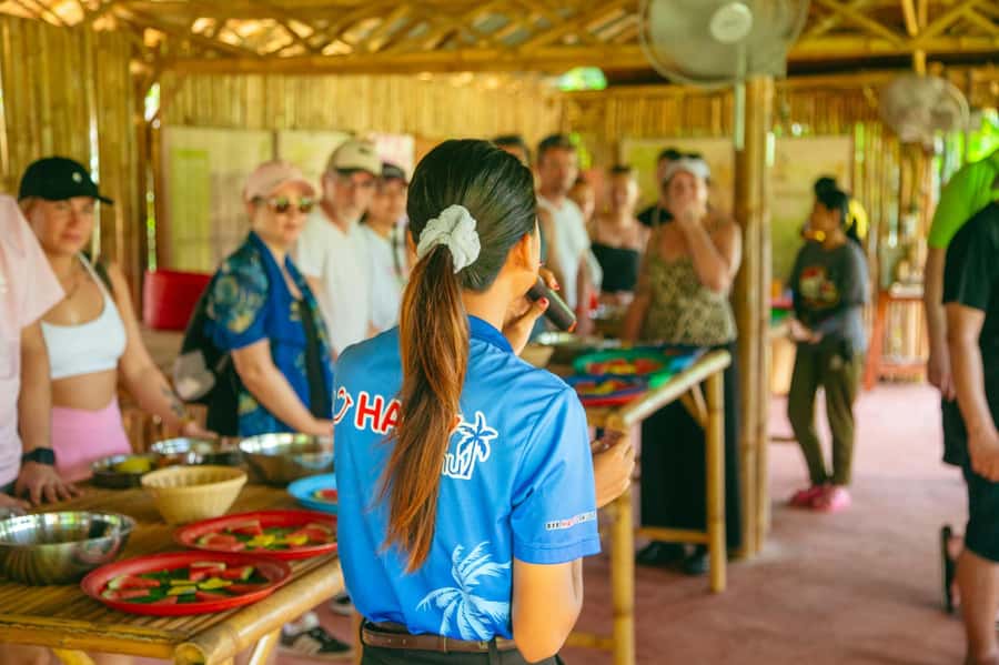Koh Samui: Elephant Sanctuary and Jungle Tour with Lunch - What this six-hour Koh Samui tour is really like