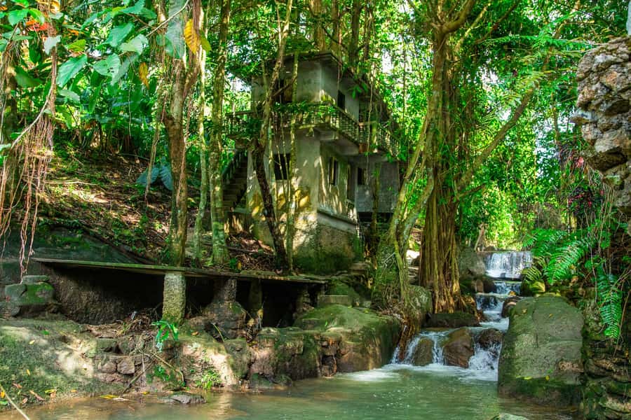 Koh Samui: Elephant Sanctuary and Jungle Tour with Lunch - Wat Teepangkorn and the high view over Samui