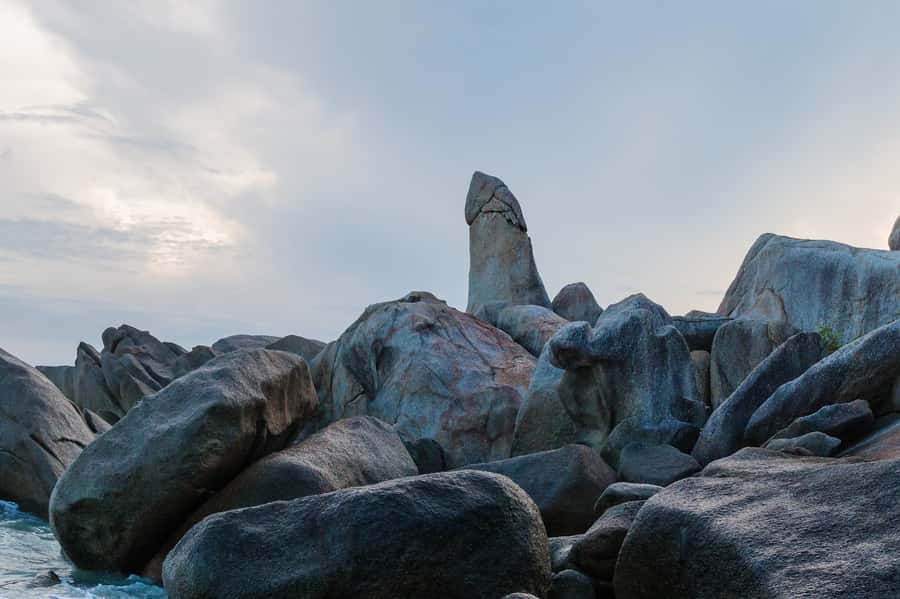 Koh Samui: Elephant Sanctuary and more - Full Day - What the $215 price includes