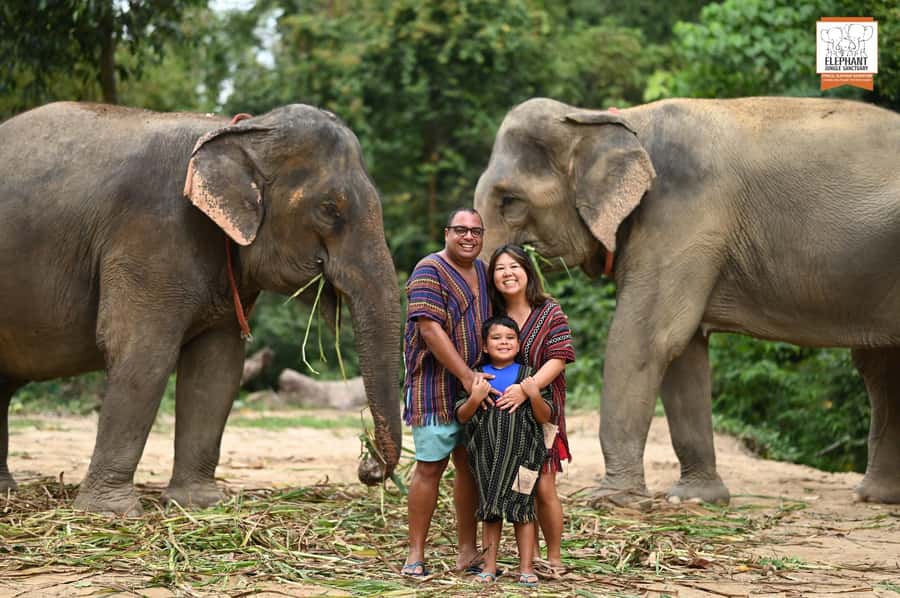Koh Samui: Elephant Sanctuary Entry and Feeding Experience - Meeting Koh Samui’s rescued elephants