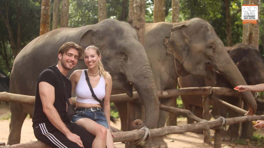 Koh Samui: Elephant Sanctuary Entry and Feeding Experience - Why the welfare policy matters