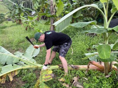 Koh Samui: Ethical Elephant Sanctuary Tour with Buffet Lunch
