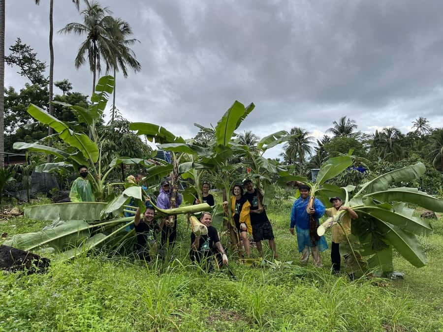 Koh Samui: Ethical Elephant Sanctuary Tour with Buffet Lunch - The 30-minute ride from your hotel