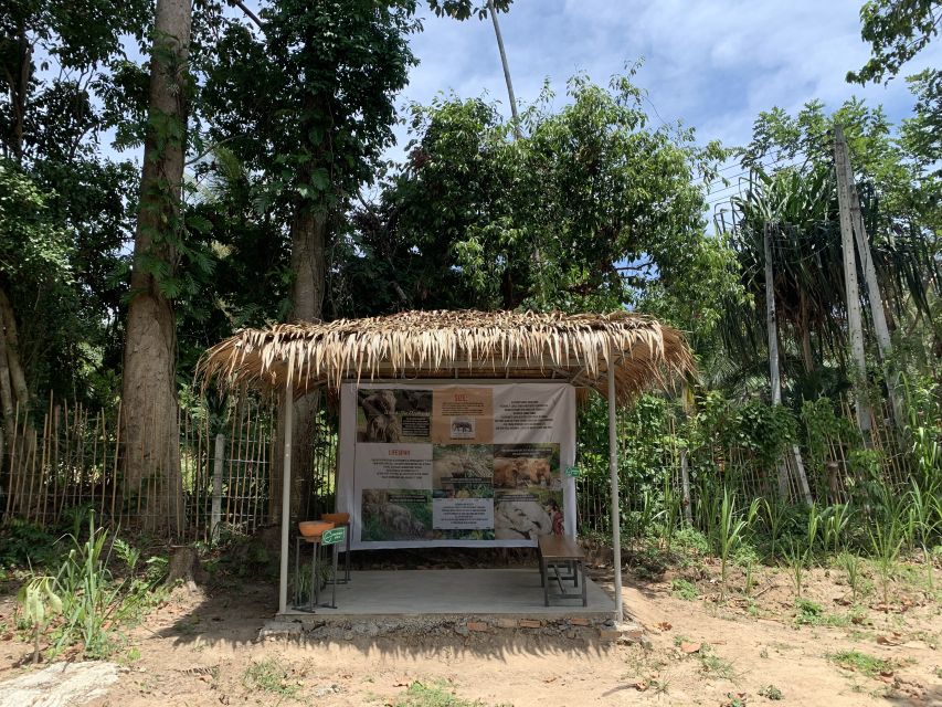Koh Samui: Ethical Elephant Sanctuary Tour with Buffet Lunch - Two Thai buffet meals and a useful extra
