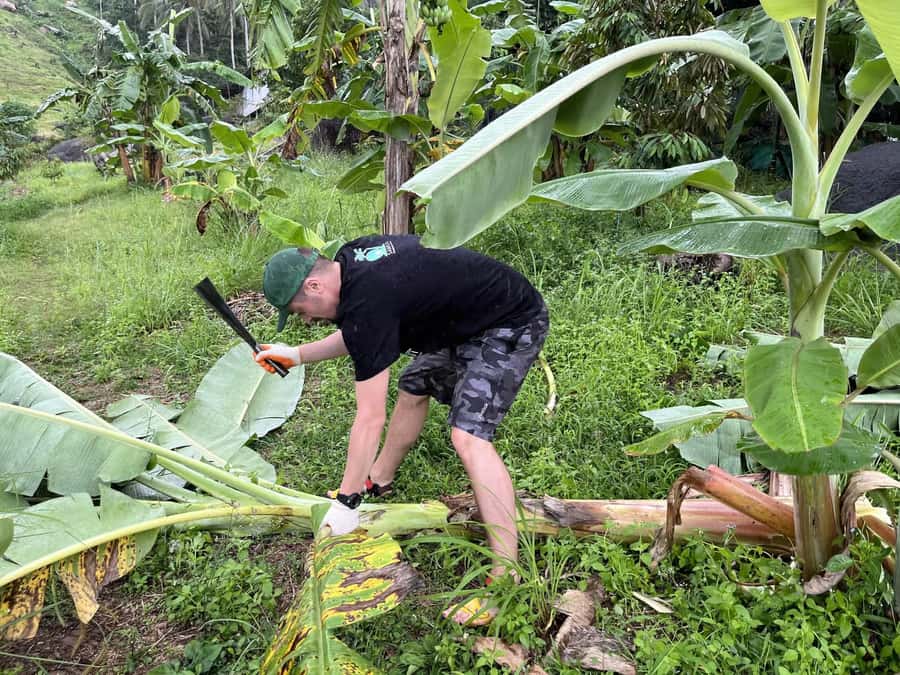 Koh Samui: Ethical Elephant Sanctuary Tour with Buffet Lunch - Preparing elephant food instead of posing for tricks