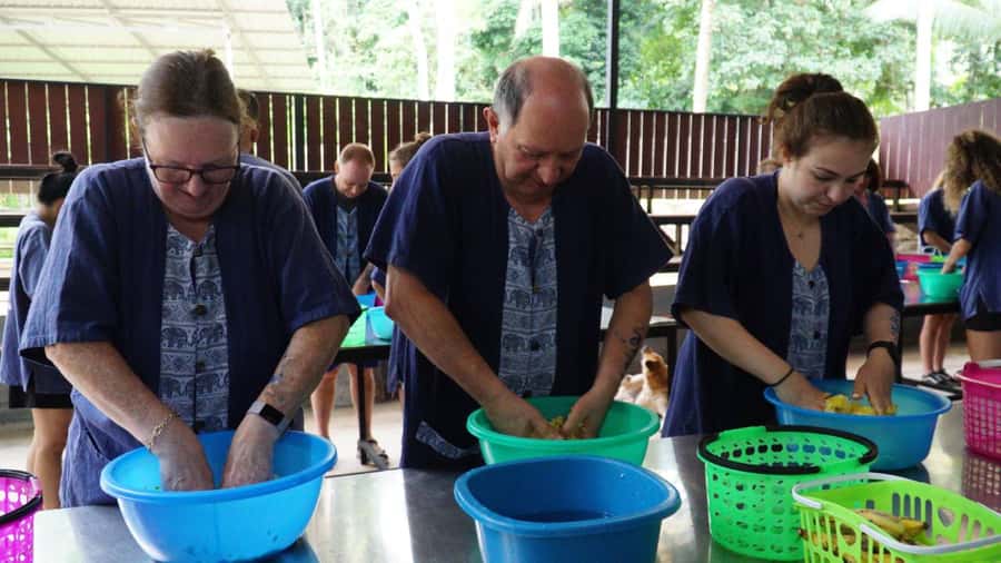 Koh Samui: Half-Day Ethical Elephant Sanctuary with Mud Spa - Key things to know before booking