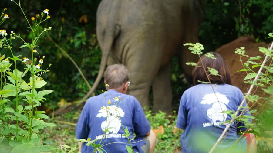 Koh Samui: Half-Day Ethical Elephant Sanctuary with Mud Spa - What to pack for a better day