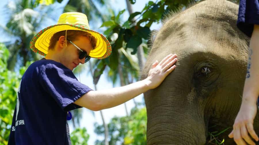 Koh Samui: Half-Day Ethical Elephant Sanctuary with Mud Spa - Walking through the jungle with the elephants