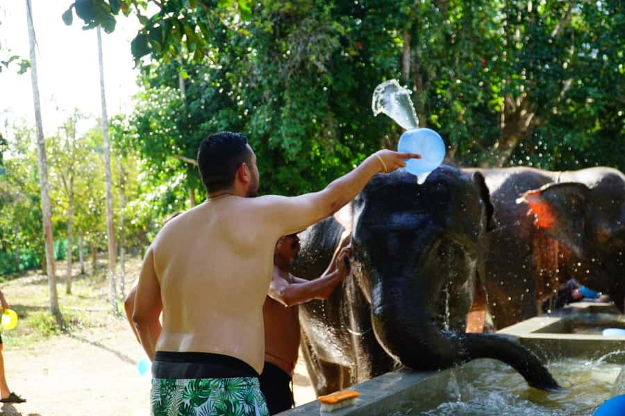 Koh Samui: Half-Day Ethical Elephant Sanctuary with Mud Spa - What the $80 price really covers