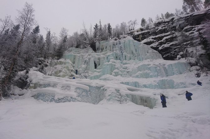 Korouoma Canyon & Ranua Zoo Tour - Why this day works well from Rovaniemi