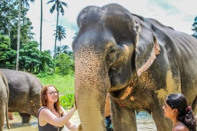 Krabi: Ao Nang Elephant Sanctuary Half-Day Tour
