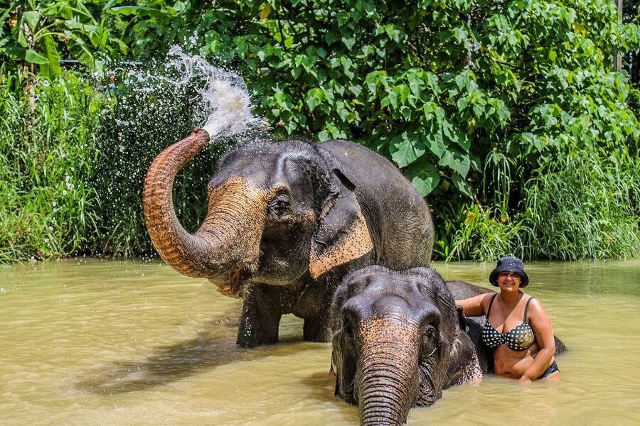 Krabi: Ao Nang Elephant Sanctuary Half-Day Tour - The mud spa, with a very real warning