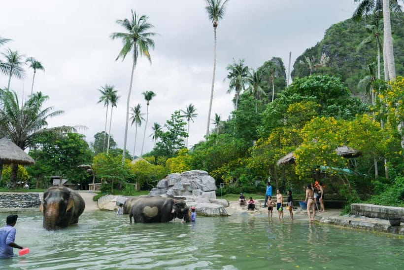 Krabi: Ao Nang Elephant Sanctuary Half-Day Tour - Washing, brushing, and joining the elephants in water
