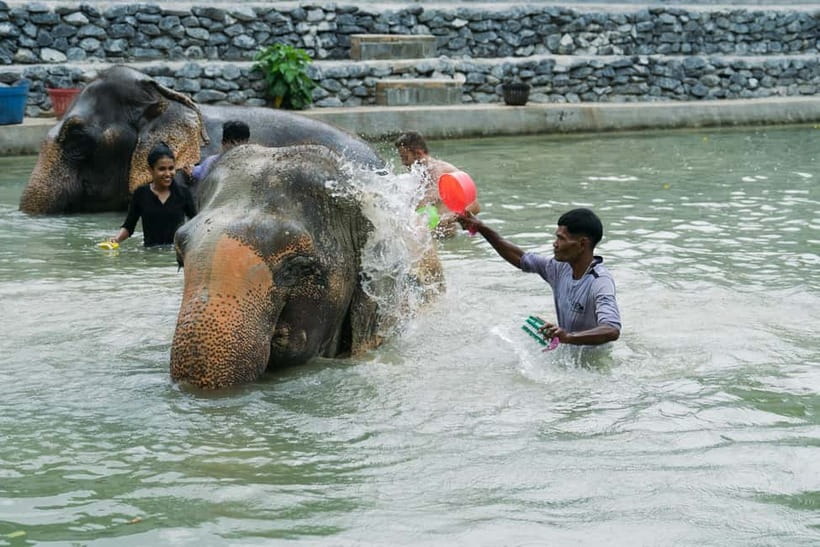Krabi: Ao Nang Elephant Sanctuary Half-Day Tour - Photos, fruit, and the final cool-down