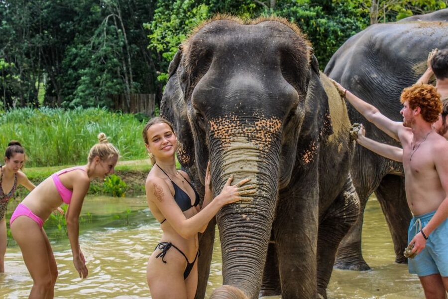 Krabi: Ao Nang Elephant Sanctuary Half-Day Tour - What the $70 price really covers