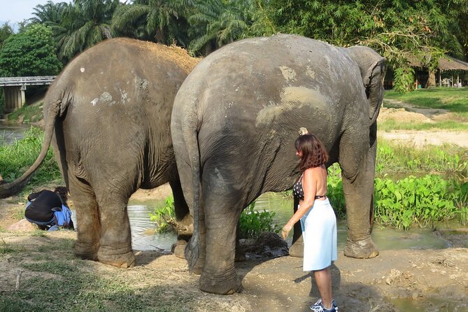 Krabi Elephant Sanctuary and Emerald Pool Adventure - Blue Lagoon photos and the optional Blue Pool