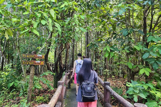 Krabi Elephant Sanctuary and Emerald Pool Adventure - Three hours at Ao Nang Elephant Sanctuary