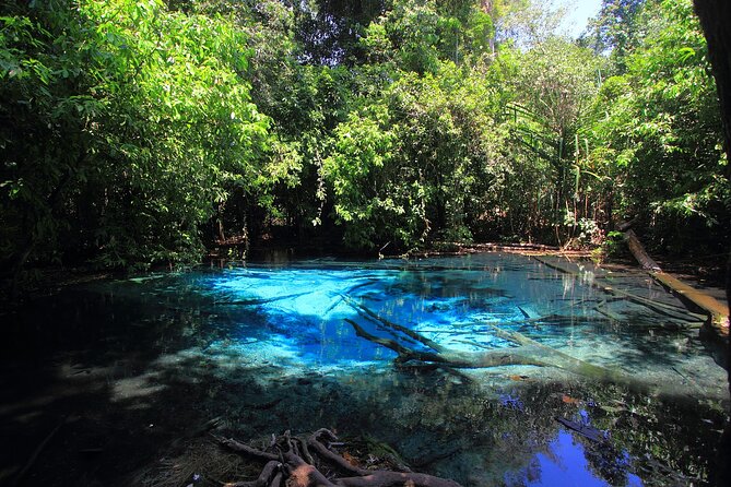 Krabi Elephant Sanctuary and Emerald Pool Adventure - What the private setup really means