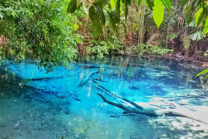 Krabi Elephant Sanctuary and Emerald Pool Adventure - Price, extra costs, and overall value